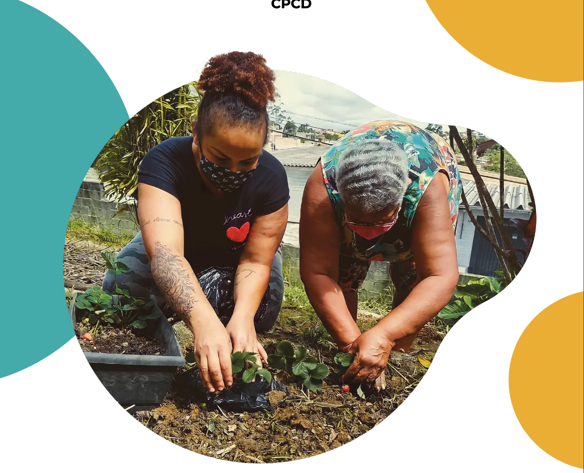 Lições da Pandemia